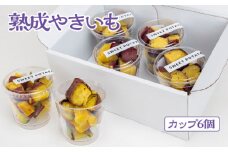 熟成やきいも 【カップ6個】 [No.542] ／ 焼き芋 ヤキイモ スイーツ 岐阜県