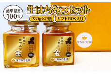 岐阜県産100% 生はちみつセット 230g×2瓶【ギフトBOX入り】 [No.677] ／ 蜂蜜 ハチミツ 百花蜜 天然 岐阜県 特産品