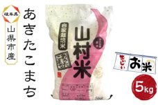 山県市産 あきたこまち 5kg（5kg×1袋）（白米） [No.793] ／ お米 ブランド米 優良水田 岐阜県 特産品