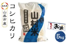 山県市産 コシヒカリ 5kg（5kg×1袋）（白米） [No.794] ／ お米 ブランド米 優良水田 岐阜県 特産品