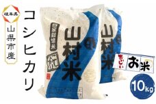 山県市産 コシヒカリ 10kg（5kg×2袋）（白米） [No.800] ／ お米 ブランド米 優良水田 岐阜県 特産品