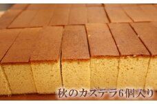 秋のカステラ6個入り　約480g [No.889] ／ ギフト お菓子 かすてら 岐阜県