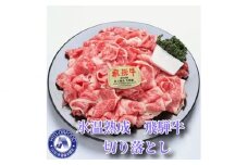 約450g切り落とし【3ヵ月毎定期便】氷温（R）熟成　飛騨牛A5等級（前バラ、肩ロース使用）　全4回 [No.900] ／ お肉 冷凍 旨み 岐阜県