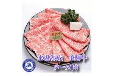 【3ヵ月毎定期便】氷温（R）熟成飛騨牛セット　全4回 [No.902] ／ お肉 冷凍 旨み 岐阜県