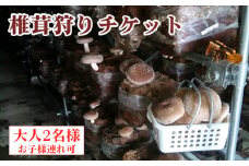 椎茸狩りチケット [No.905] ／ しいたけ シイタケ きのこ狩り キノコ狩り 体験チケット 肉厚 ジューシー 岐阜県