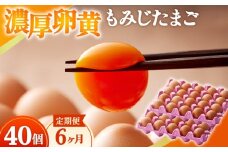 濃厚卵黄もみじたまご【40個入り】【6ヶ月連続】定期便 [No.936] ／ タマゴ 純国産 新鮮 採れたて 岐阜県 特産