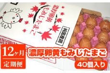 濃厚卵黄もみじたまご【40個入り】【12ヶ月連続】定期便 [No.938] ／ タマゴ 純国産 新鮮 採れたて 岐阜県 特産