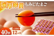 濃厚卵黄もみじたまご【40個入り】【12ヶ月連続】定期便 [No.938] ／ タマゴ 純国産 新鮮 採れたて 岐阜県 特産