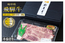 A5等級 飛騨牛サーロインステーキ400g（200g×2枚）（牛脂付き）[No.946]  ／ 牛肉 ブランド 高品質 やわらか 岐阜県 特産品