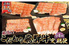 【厳選こだわり牛肉800g定期便】4ヵ月楽しめる贅沢味尽くし [No.1043] ／ 飛騨牛 Ａ5等級 希少 旨味 ブランド牛 やきにく 雌牛 冷凍 岐阜県 特産
