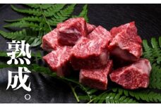 飛騨牛 カレーシチュー用 600g 牛肉 和牛 飛騨の牧場で育った熟成肉『山勇牛』30日以上熟成 サイコロステーキ 冷凍 飛騨牛 熟成肉 飛騨市