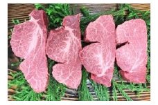 飛騨牛 最高級 5等級 ヒレ肉 ステーキ（テート）160g×4枚（計640g）牛肉 和牛 ヒレ ステーキ 飛騨市