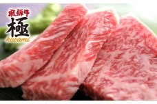 飛騨牛 サーロインステーキ ミニ ２枚 牛肉 和牛 飛騨市推奨特産品　
