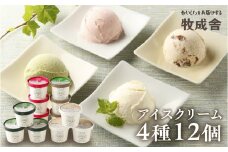 飛騨のミルクの旨みたっぷりアイスクリーム　12個セット  クリスマス おすすめ アイス 抹茶 バニラ いちご ラムレーズン スイーツ デザート