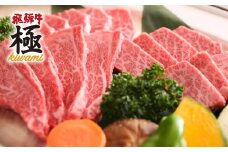 《熨斗掛けにも》飛騨牛 ＢＢＱ 牛・鶏・豚バラエティセット 飛騨市推奨特産品 牛肉 和牛 セット 岐阜県 飛騨市 福袋 