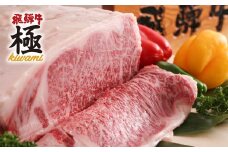 飛騨牛 ブロック  牛肉 和牛 飛騨市推奨特産品　 