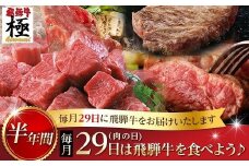 飛騨牛"極" 定期便 毎月29日（肉の日） 飛騨牛を食べよう！半年バージョン  牛肉 和牛 飛騨市推奨特産品 【ごちそう】 贅沢飛騨牛