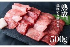 「山勇牛」焼肉用 切落し 切り落とし 500g 牛肉 和牛 飛騨牛 肉 稀少部位 焼き肉 冷凍 飛騨市 高評価