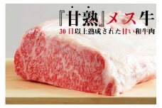 飛騨牛 サーロインブロック 600g 熟成肉『山勇牛』 牛肉 和牛