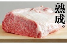 飛騨牛 サーロインブロック 1kg シャトーブリアンブロック 500g 熟成肉『山勇牛』 牛肉 和牛