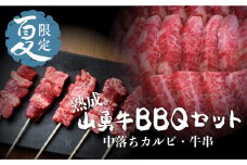 【夏季限定】飛騨牛 BBQセット 中落カルビ 切落し 500g 牛串５本セット バーベキュー 牛肉 和牛