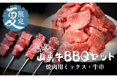 《夏季限定》飛騨牛 バーベキューセット ミックス焼肉用500g・牛串5本セット 先着200名様限定箸付 牛肉 和牛 BBQ