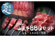 《夏季限定》飛騨牛BBQセット もも焼肉用 300g 上カルビ 焼肉用 300g 牛串 10本セット バーベキュー 牛肉 和牛 先着200名様限定箸付