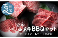 《夏季限定》飛騨牛BBQセット サーロイン 焼肉用 200g もも 焼肉用 300g 上カルビ 焼肉用 300g セット バーベキュー 牛肉 和牛 先着200名様限定箸付