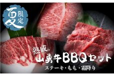 《夏季限定》飛騨牛BBQセット サーロインステーキ 200g×２枚 もも 焼肉用500g 上カルビ 焼肉用 500g セット 先着200名様限定箸付 バーベキュー 牛肉 和牛