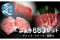 《夏季限定》山勇牛BBQセット シャトーブリアンブロック 500g サーロインブロック 500g 希少部位ステーキ 100g×５枚 霜降り焼肉用 500g セット 先着200名様限定箸付き 飛騨牛 牛肉 肉