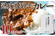 飛騨牛カレー　熟成肉　１０食セット 