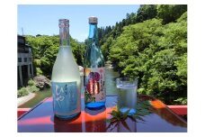 《夏季限定》【6～9月発送】大坪酒造店　夏季限定のみくらべセット《夏の日本酒と生酒　720ml×2本セット》 seas30
