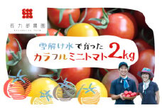 先行予約《夏季限定》令和7年産 雪解け水で育ったカラフルな濃厚ミニトマト 2kg syun116 カラフルミニトマト トマト