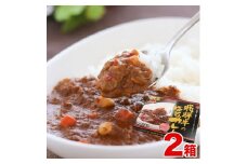 飛騨牛の極旨カレー　２食入り×２箱