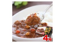 飛騨牛の極旨カレー　２食入り×４箱