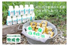 明治30年創業の牛乳屋の牛乳屋の飛騨産生乳で作る　ヨーグルト盛りだくさんセット