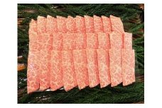 飛騨市推奨特産品 飛騨牛 5等級 カルビ 焼肉用 500g  牛肉 和牛 古里精肉店謹製
