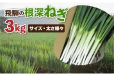 《令和7年産先行予約》 訳あり 飛騨の根深ねぎ 3kg 薬味からお鍋までおすすめ！白ねぎ 白ネギ サイズ・太さ様々 不揃い 訳アリ ワケアリ 野菜 産地直送 国産 syun83