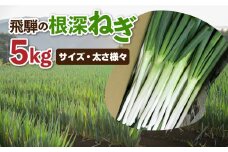 《数量限定！特別寄附額にてご案内》 訳あり 飛騨の根深ねぎ 5kg 薬味からお鍋までおすすめ！白ねぎ 白ネギ サイズ・太さ様々 不揃い 訳アリ ワケアリ 野菜 産地直送 国産 syun84