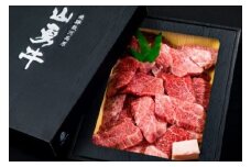 《事前予約制》期間限定　熟成飛騨牛『山勇牛』ミックス焼肉用・サイコロステーキセット各500g 牛肉 和牛