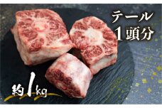 【通常配送】飛騨市推奨特産品 古里精肉店謹製 古里精肉店が厳選しカットした岐阜県産黒毛和牛のテール  牛肉 和牛 黒毛和牛 肉 飛騨市