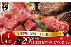 飛騨牛 定期便 毎月29日（肉の日） 飛騨牛を食べよう！ 1年バージョン  牛肉 和牛 飛騨市推奨特産品