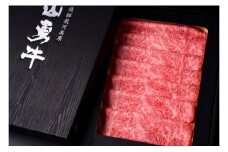 《期間限定》飛騨牛 熟成肉『山勇牛』 ロース 赤身すきやき しゃぶしゃぶ セット 各300ｇ 牛肉 和牛