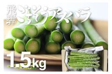 2025年産 根本までムシャムシャ食べれるアスパラ 水村農園 飛騨のきれいな水と澄んだ空気が育んだ柔らか甘いアスパラガス　L~2L 1.5kg グリーンアスパラ アスパラ [B0201x] syun79
