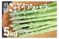 根本までムシャムシャ食べれるアスパラ 水村農園 飛騨のきれいな水と澄んだ空気が育んだ柔らか甘いアスパラガス アスパラ アスパラガス L~2L 5kg 大容量 [F0035x] 56000円
