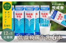 低温殺菌牛乳　6本×12カ月　定期便　牧成舎のこだわり牛乳　初回のみカップヨーグルト付
