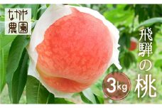 《令和7年産先行予約》【7月下旬～8月20日頃発送】飛騨から産地直送 桃 3kg 桃 もも モモ フルーツ 果物 桃 もも モモ 飛騨産 果物 フルーツ 国産 お取り寄せ 産地直送 syun98