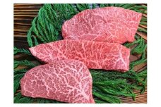 飛騨牛 5等級 ランプ・イチボ・心芯 もも肉レア部位3種のステーキセット モモ 黒毛和牛 A5 ブランド牛 希少 和牛 冷凍 古里精肉店 和牛 肉 贈答 熨斗掛け 50000円 5万円 [F0037xch]