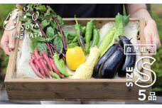 《先行予約》野菜セット 5品 自然栽培 野菜BOX・Sサイズ 夏野菜 秋野菜 ピーマン ナス きゅうり オクラ ズッキーニ 自家採種 