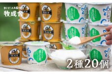 飛騨の牛乳屋こだわり　食べるタイプのヨーグルト２種類盛沢山20個セット 乳製品  ヨーグルト 飛騨市